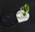 Marble 4"x5" Teardrop Coasters Semi-polished set of 2