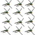 Tungsten Bead Head Rubber Legs Black Olive Zebra Copper John Nymph Fly Fishing Flies - 1 Dozen Flies Hook Size 16