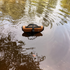Waterproof Floating Shell Bag / Boating Bag (Arriving in August)