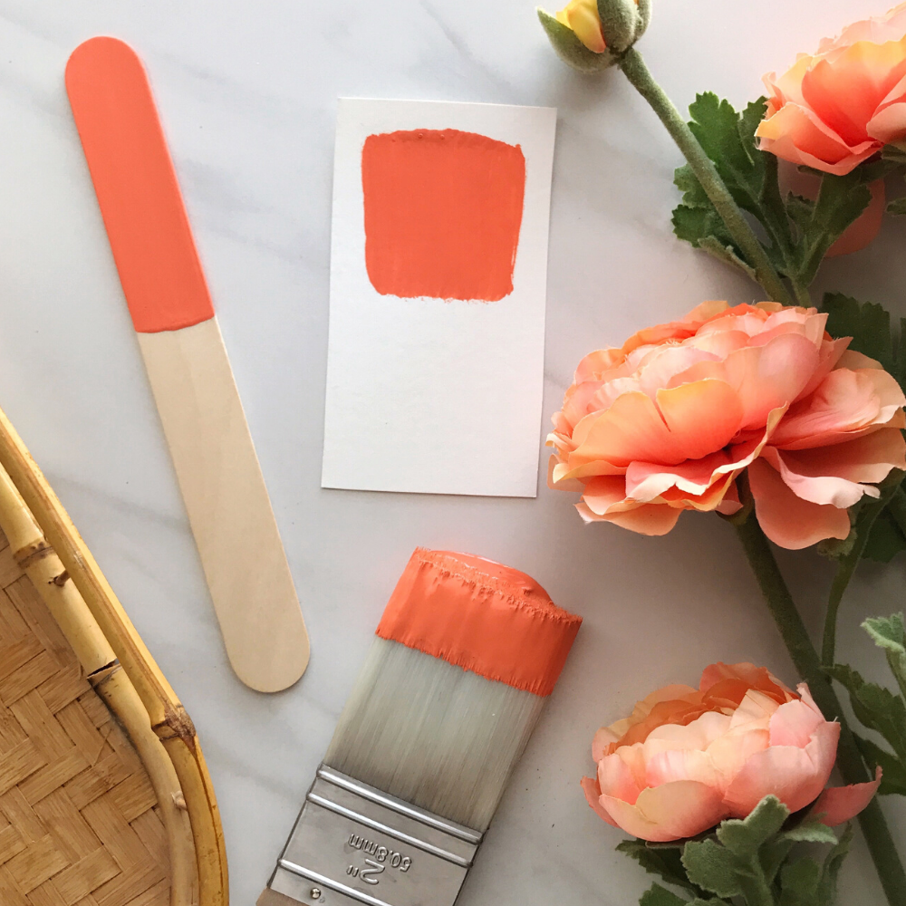 One Step Paint - Coral Sea