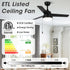 42" Vaczon 3 Blades Traditional Ceiling Fan with Pull Chain