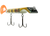Titan