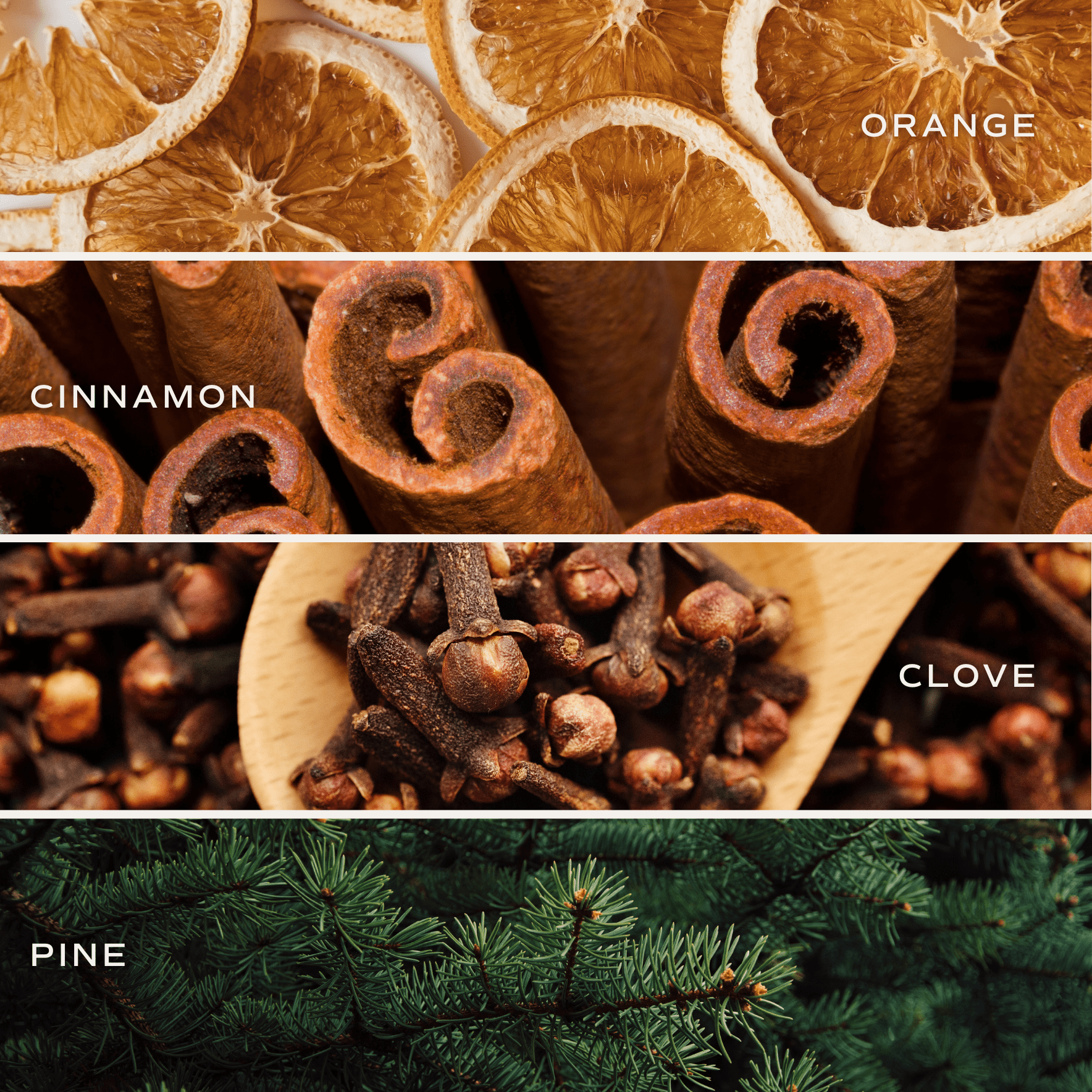 Warm and Cozy Tinted Glass Jar Reed Diffuser