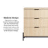 Paris Modern Scandinavian Reeded Chest