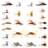 Trout Fly Assortment - Essential Western Dry and Nymph Fly Fishing Flies Collection - 2 Dozen Trout Flies with Fly Box