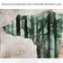 Animals Forest Bear Birch Canvas Wall Art