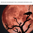 Crow And Blood Moon Canvas Wall Art