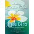 Seeking The Lost Temple of Julie: The Temple Woman Within Series - Book 1 - Paperback