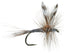 3 Pack Adams Classic Dry Fly - Hook Size 20