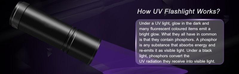 Adjustable Rechargeable UV Flashlight Black Light 21LED 12LED Handheld Portable Torch Light Ultraviolet Flashlight Detector Flashlight Torch For Bed Bug Dog Urine Pet Stains Matching With Pet Odor Eliminator