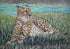 Animal Mosaic - Majestic Cheetah