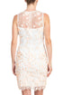 Adrianna Papell Illusion Crew Neck Sheath Floral Embroidered Keyhole Back Zipper Back Short Mesh Dress