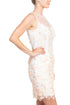 Adrianna Papell Illusion Crew Neck Sheath Floral Embroidered Keyhole Back Zipper Back Short Mesh Dress