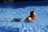 Swii - Electric floating swiming board