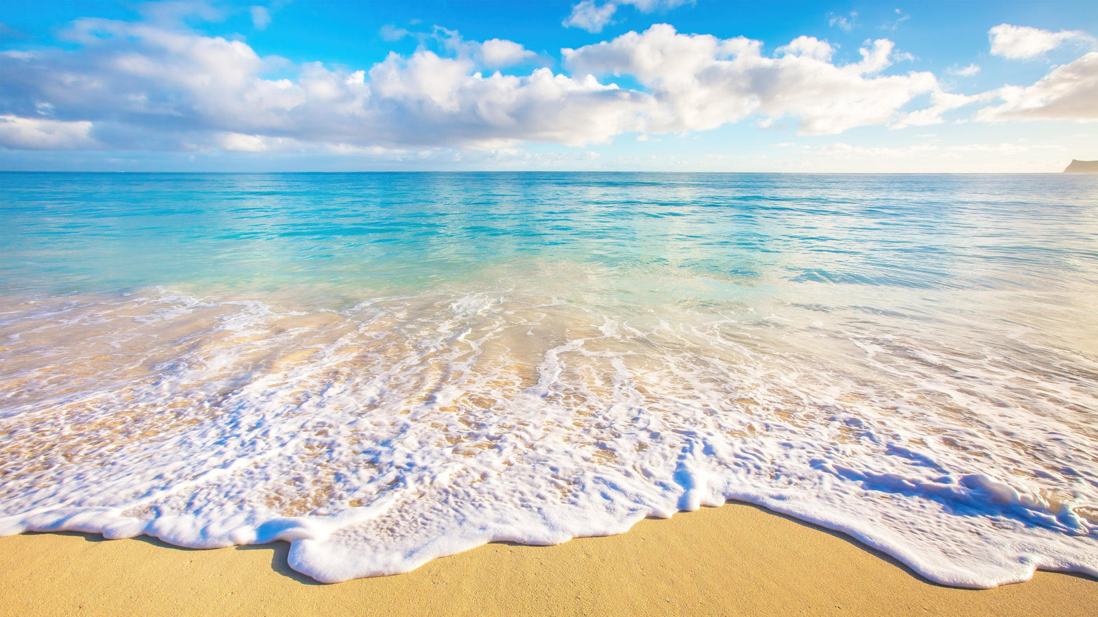 Ocean Beach Shore Wallpaper Mural. Tropical Theme Wall Decor. #6770