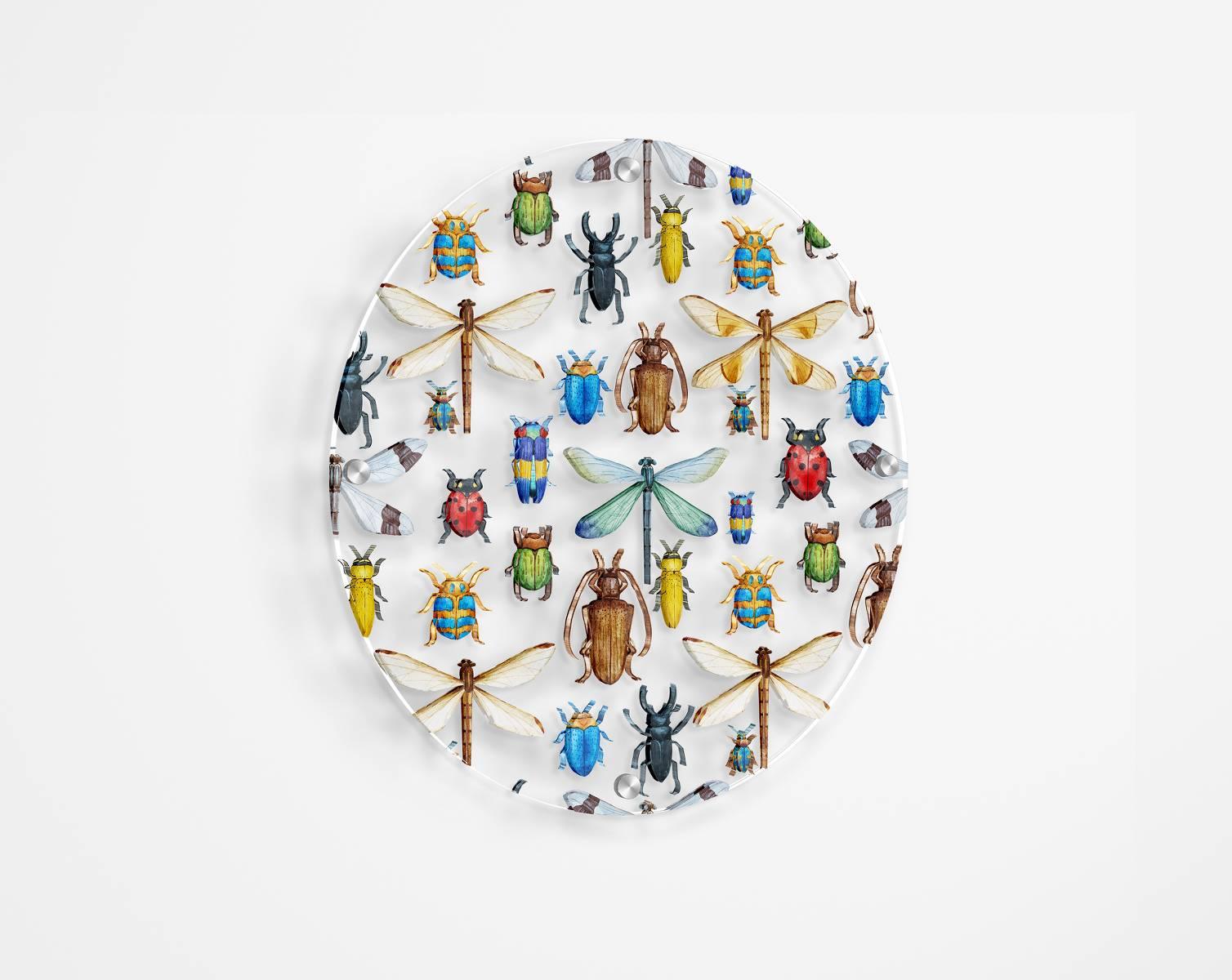 Beetles  Printed Transparent Acrylic Circle