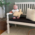 Vintage-Inspired Wooden Bench with Upholstered Seat