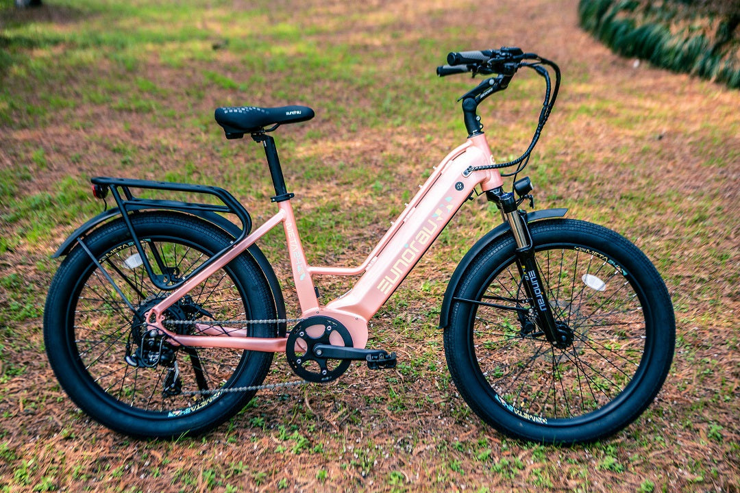META24 1.0 - Electric Bicycle