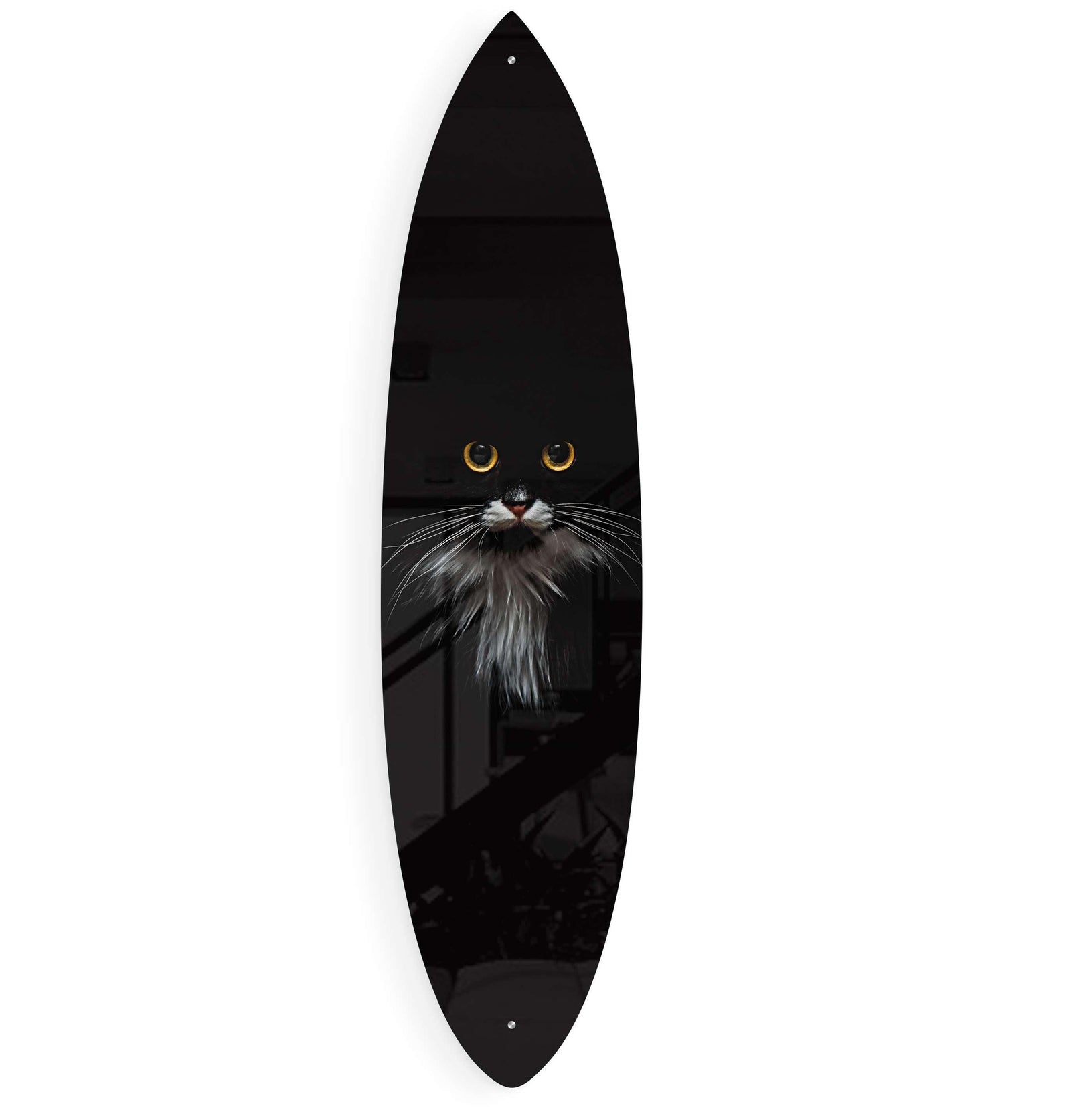 Black Cat Pattern Acrylic Surfboard Wall Art