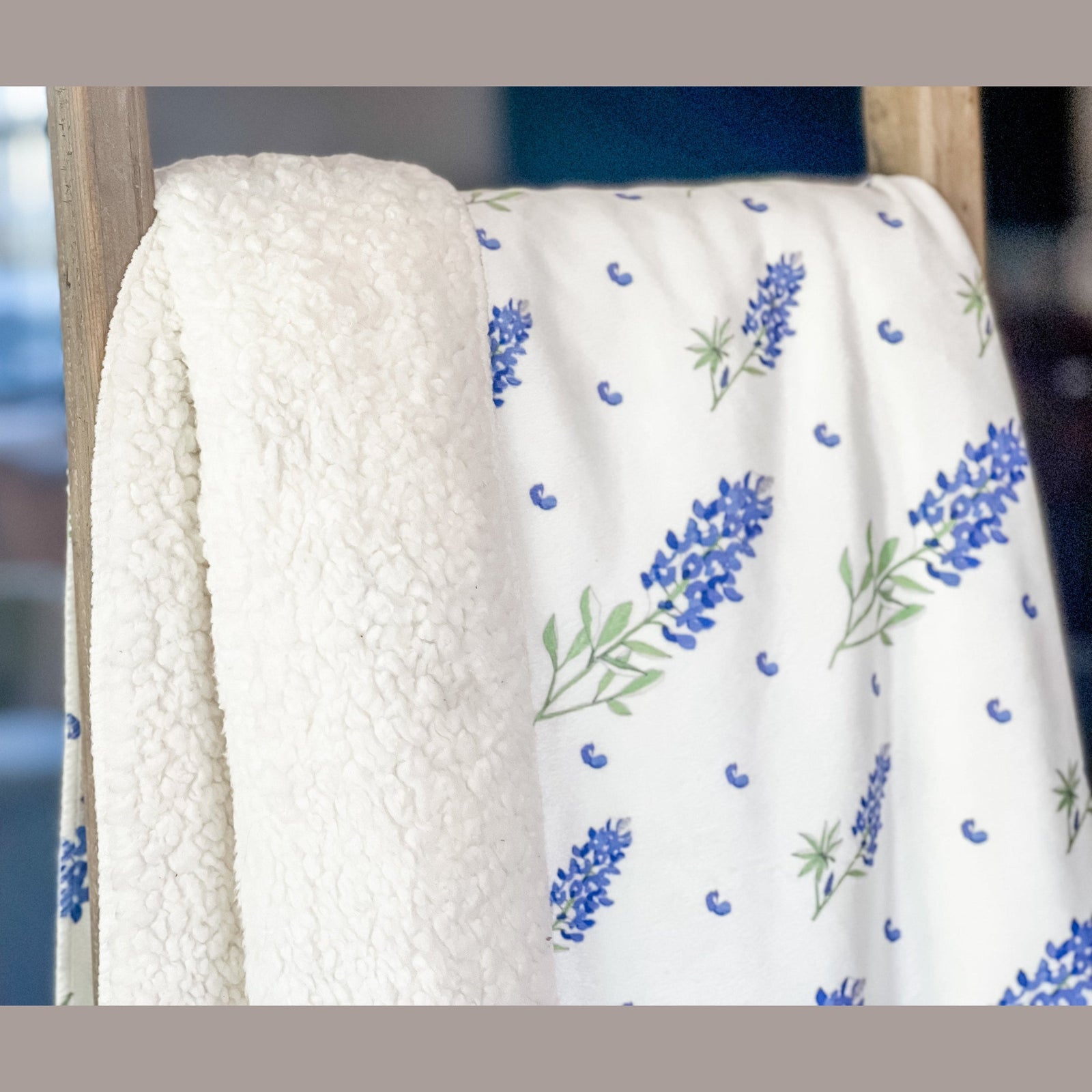 Bluebonnets Plush Throw Blanket 60x80