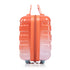 2 Pc PC Spinner Wheel Luggage Set with Gradient Color and Lock