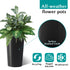 Planter For Outdoor
