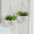 Self Watering Hanging Planter