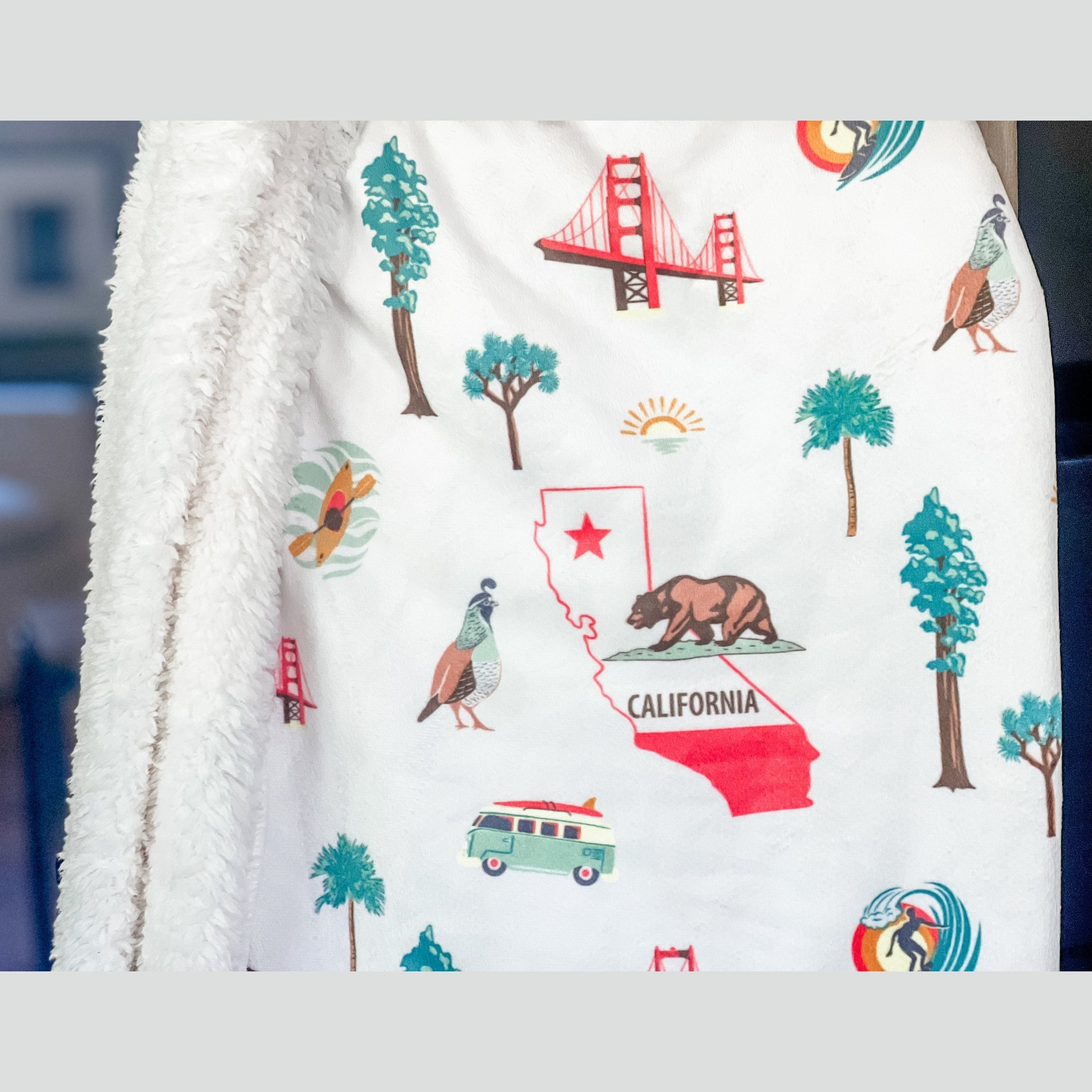 California Plush Throw Blanket 60x80