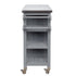 Foldable Outdoor Kitchen Island Cart with Storage - Stainless Steel & Wood