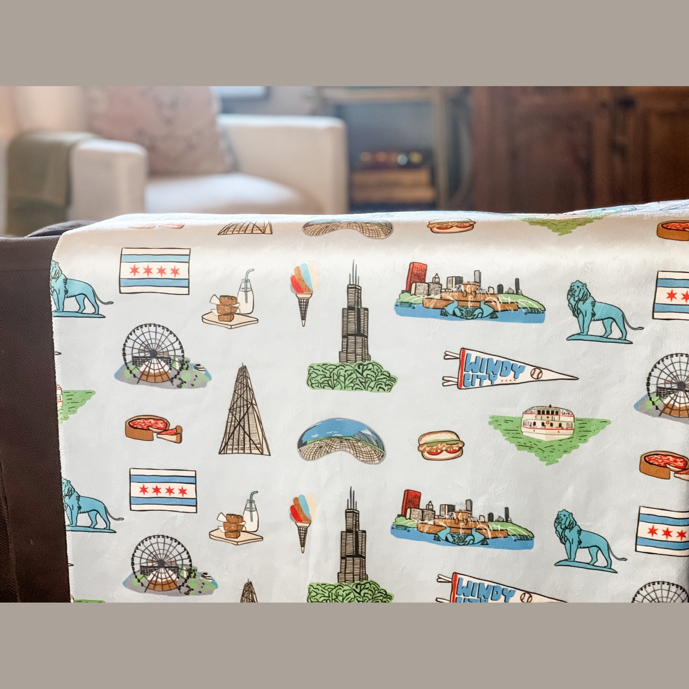 Chicago Plush Throw Blanket 60x80