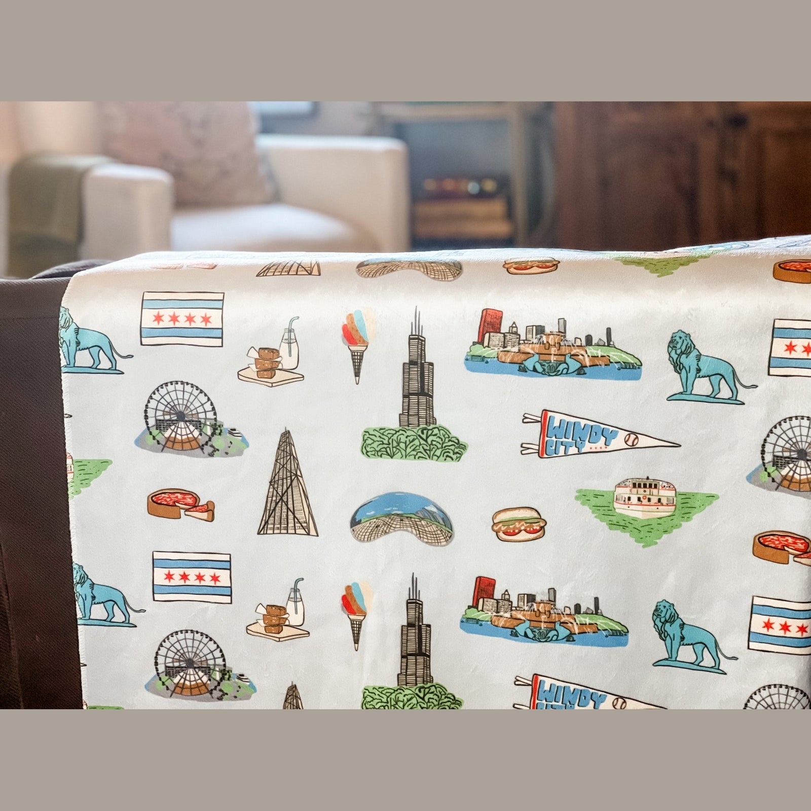 Chicago Plush Throw Blanket 60x80