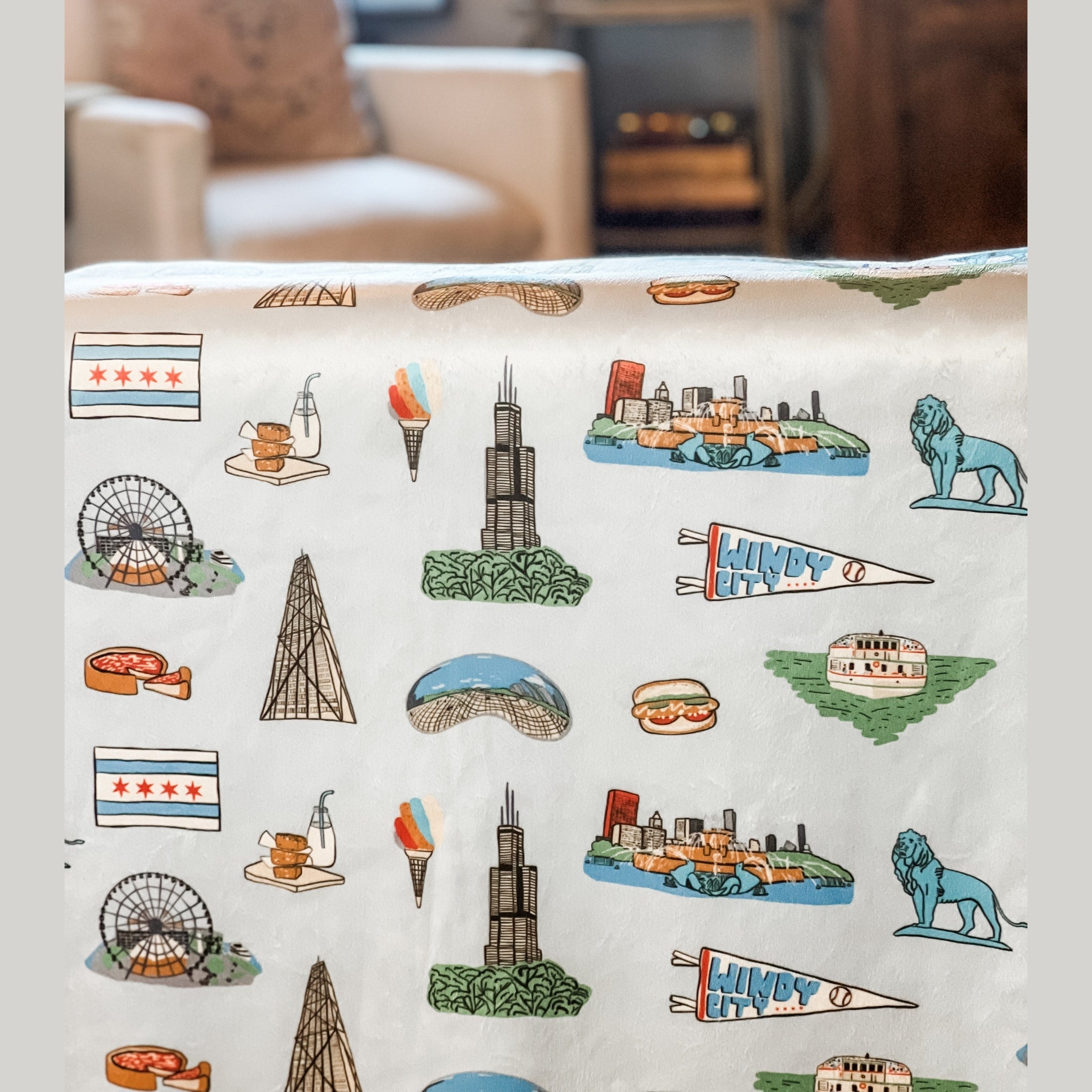 Chicago Plush Throw Blanket 60x80