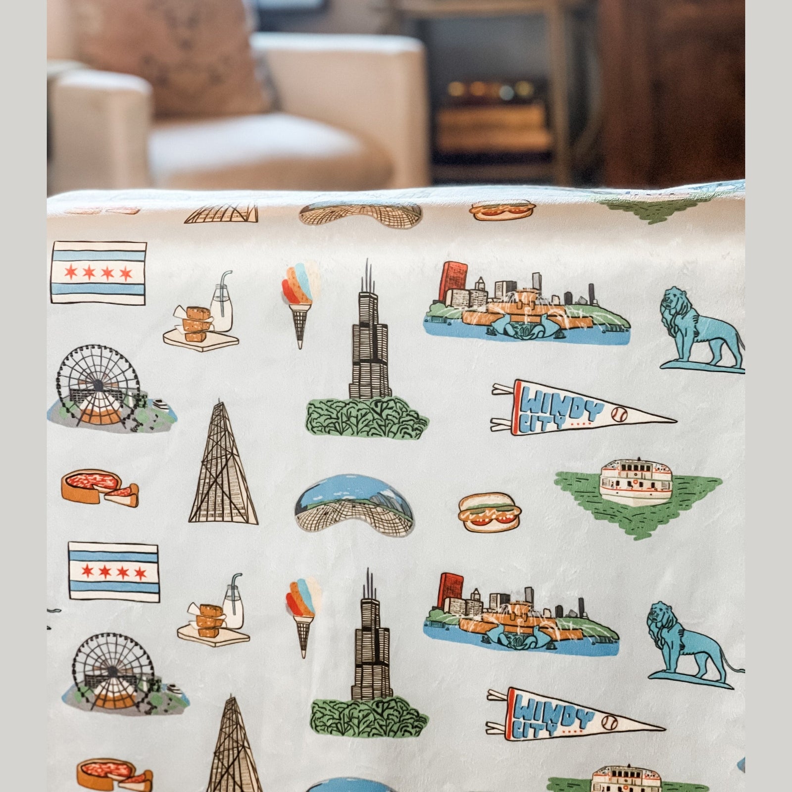 Chicago Plush Throw Blanket 60x80