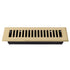 Cast Brass Contemporary Vent Covers - Polished Brass