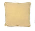 DaDa Bedding Apricot Fruit Elegant Accent Throw Pillow Cushion Cover - 1-Piece - 18"