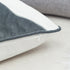 Holiday Reindeer Velvet Accent Pillow 20x20 – White and Gray with Insert