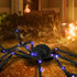 Illuminated Arachnid Halloween Accent with Purple LED Lights - Black