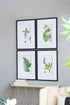 Botanical And Fern Wall Art, Wall Decor For Living Room Dining Room Entryway (Set of 4) - White / Black