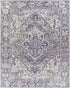 Neyland Iris Gray Area Rug 2359