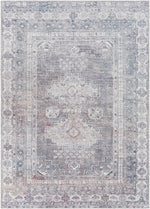 Baltinglass Gray Washable Area Rug - Limited Edition
