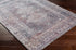 Baltinglass Gray Washable Area Rug - Limited Edition