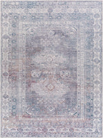 Baltinglass Gray Washable Area Rug - Limited Edition