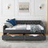 Upholstered Tufted Daybed With 2 Drawers, Waved Arms