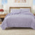 Gingham Printed Quilt Set - Gingham Collection