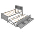 Platform Bed With Storage Headboard, USB, Trundle And 3 Drawers