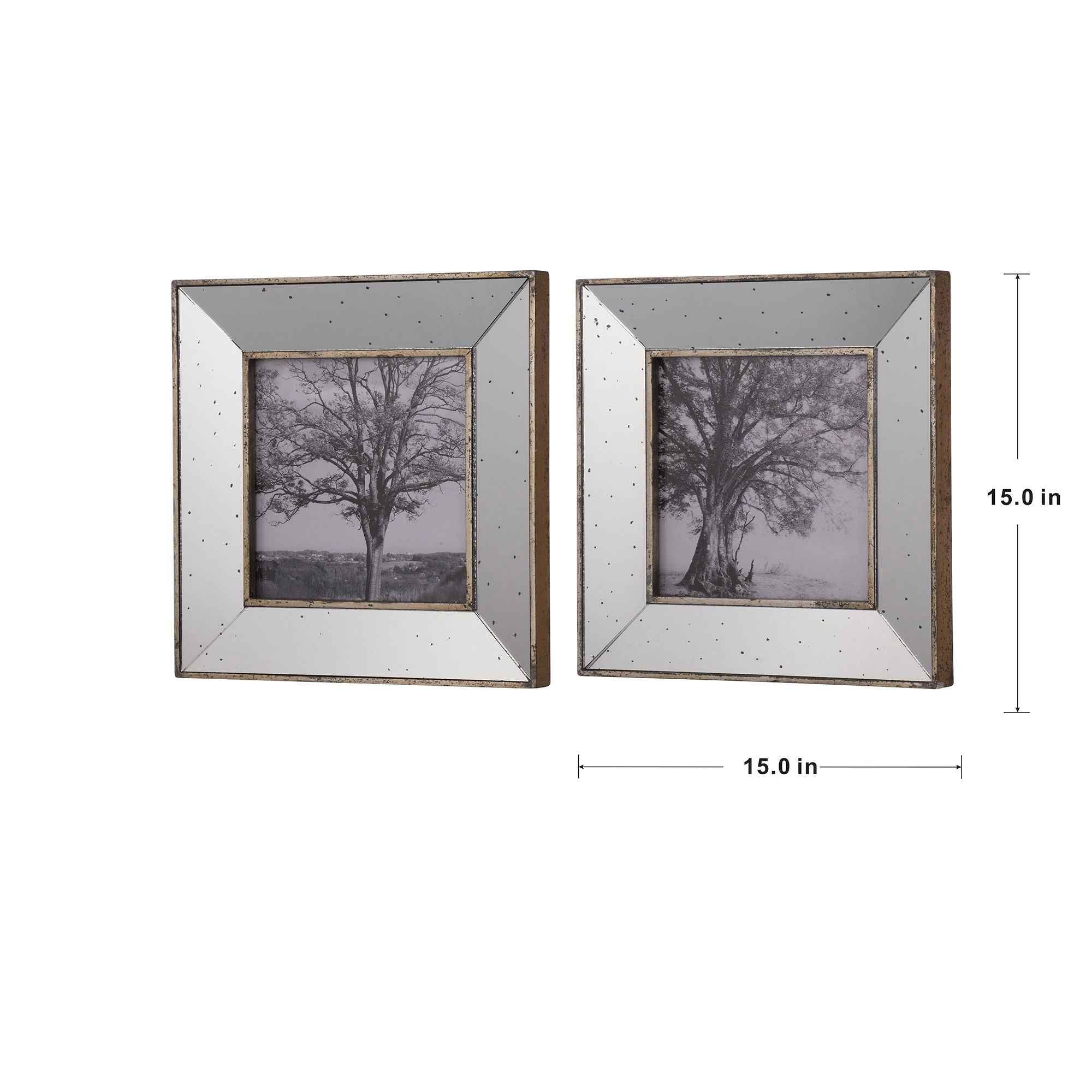 Vintage Reflective Picture Frames (Set of 2) - Silver