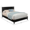 Flynn Platform Bed, Black - Tundra Globe