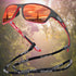 Photochromic Polarized Sunglasses UV400 Protection Anti-Glare Outdoor Sports