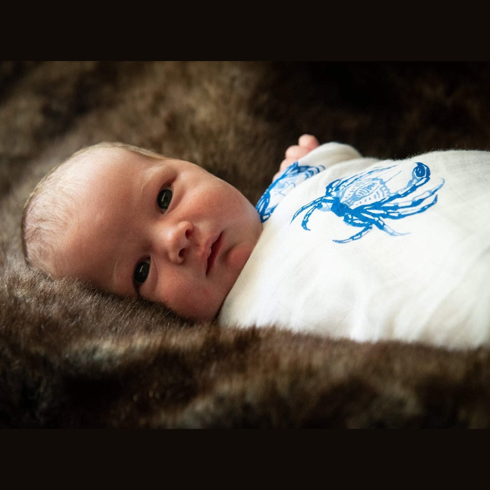 Gift Set: Blue Crab Baby Muslin Swaddle Blanket and Burp Cloth/Bib Combo