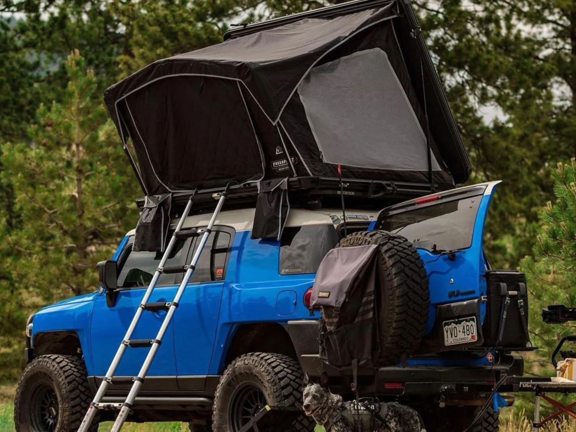 goFSR Odyssey Series 55" Rooftop Tent: 2-3 Person